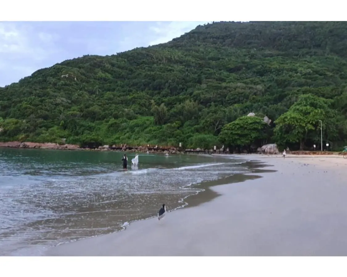 Apartament Apartamento 301 - A 20 Metros Da Areia Da Praia Dos Ingleses - 4 Pessoas Florianópolis